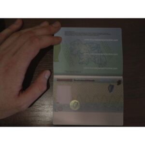 The Irish Passport